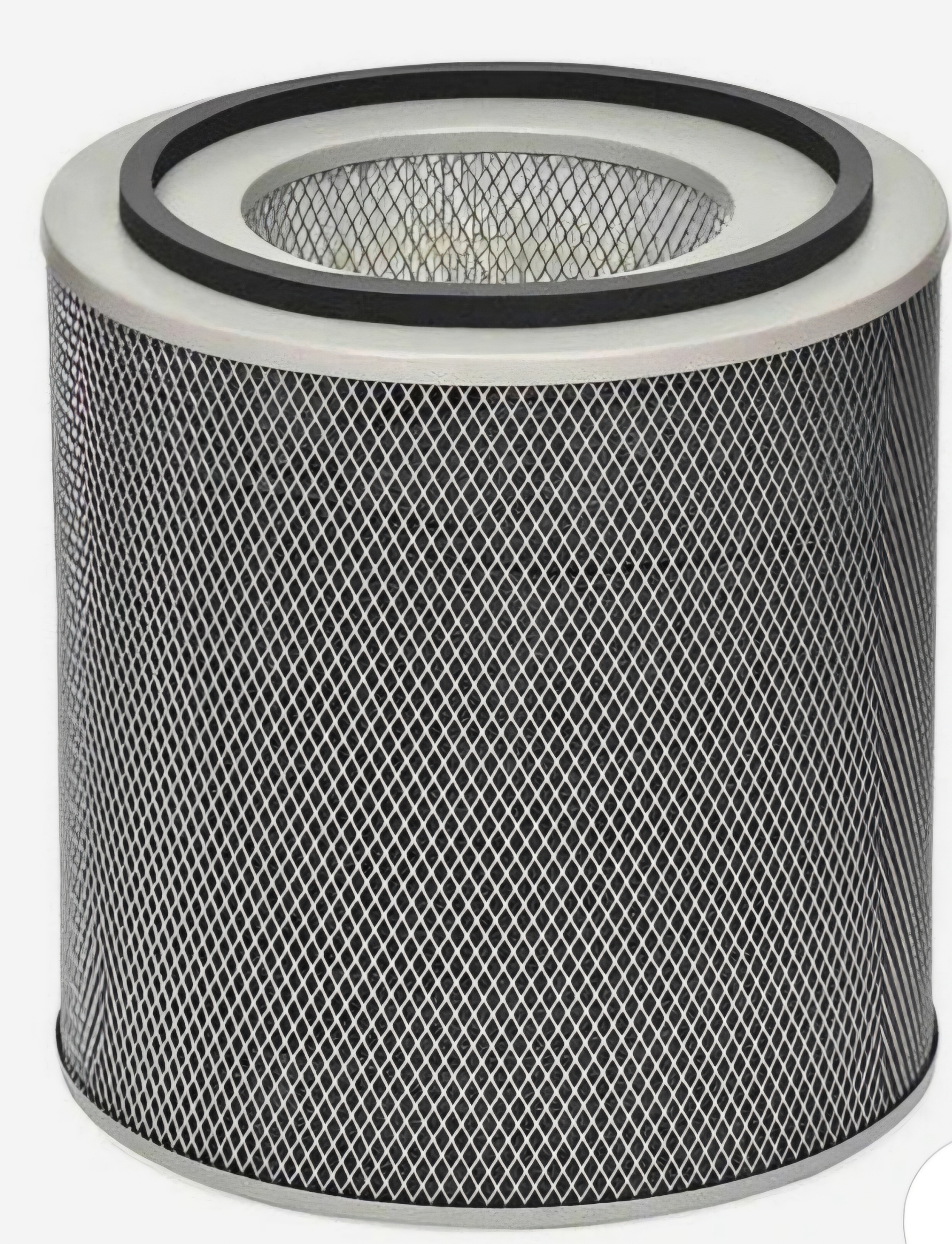 Austin Air HealthMate HM400 Replacement Filter