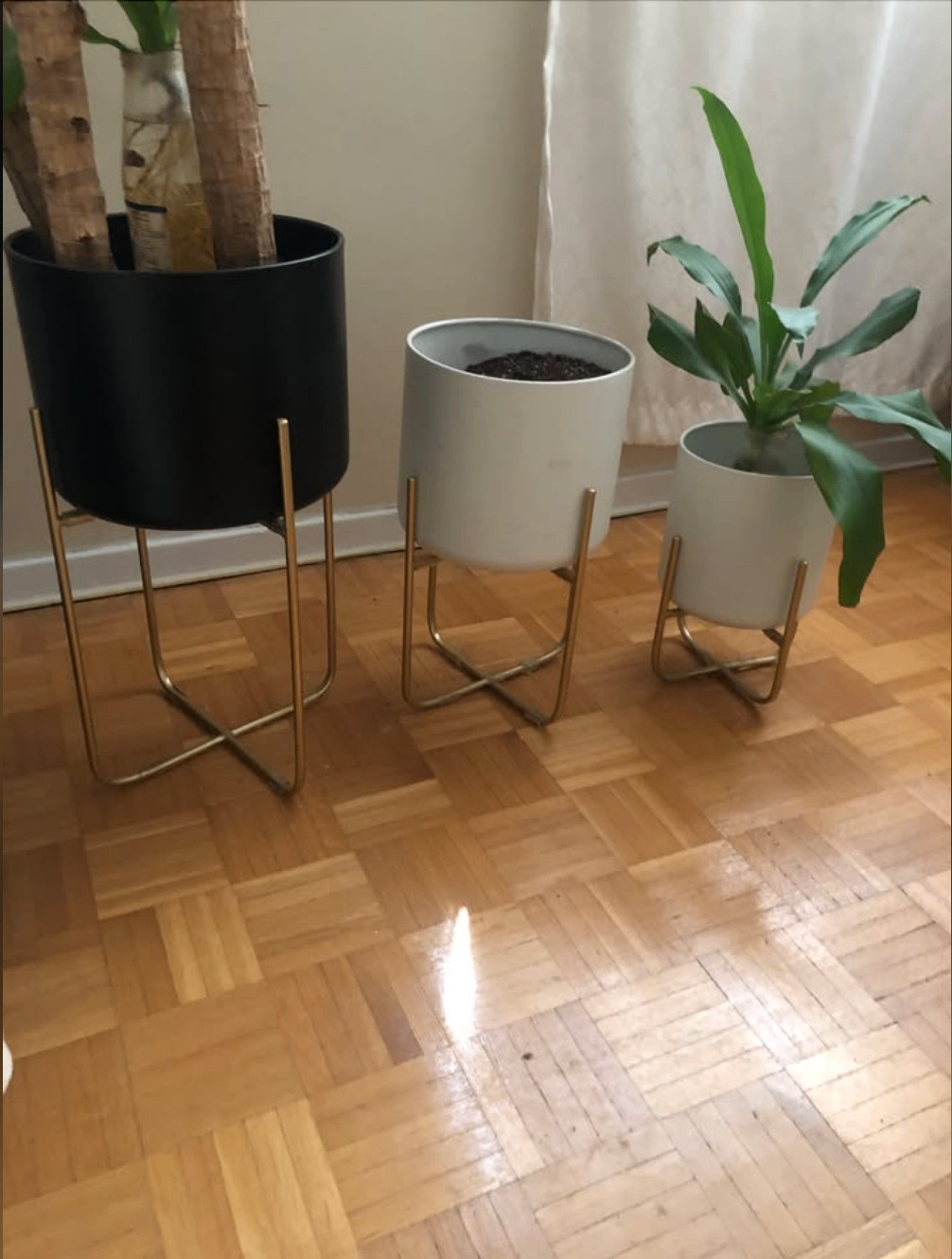 Set of 3 Elegant White & Golden plant pots