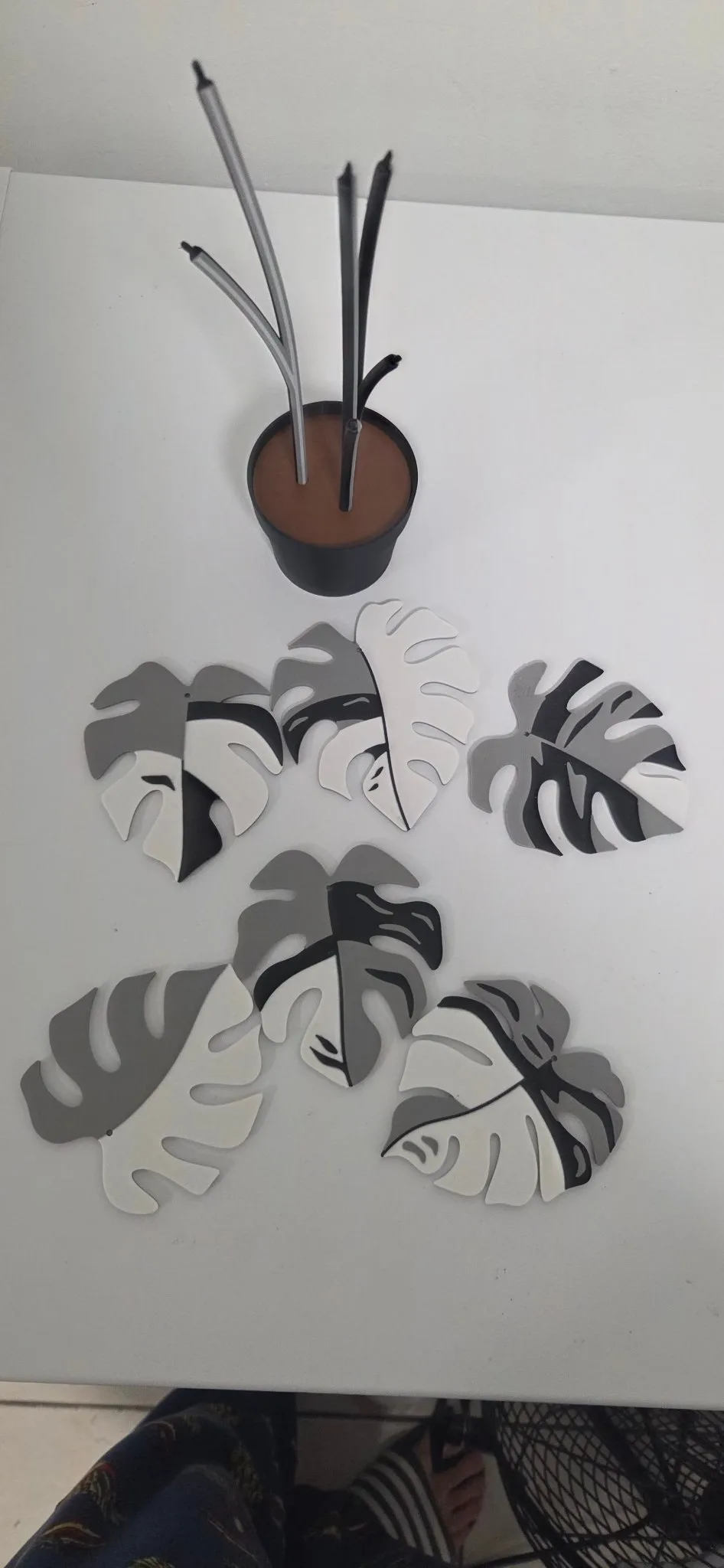 Monstera Coaster Set - 3D Printed Plant (6 Coasters) - photo 2