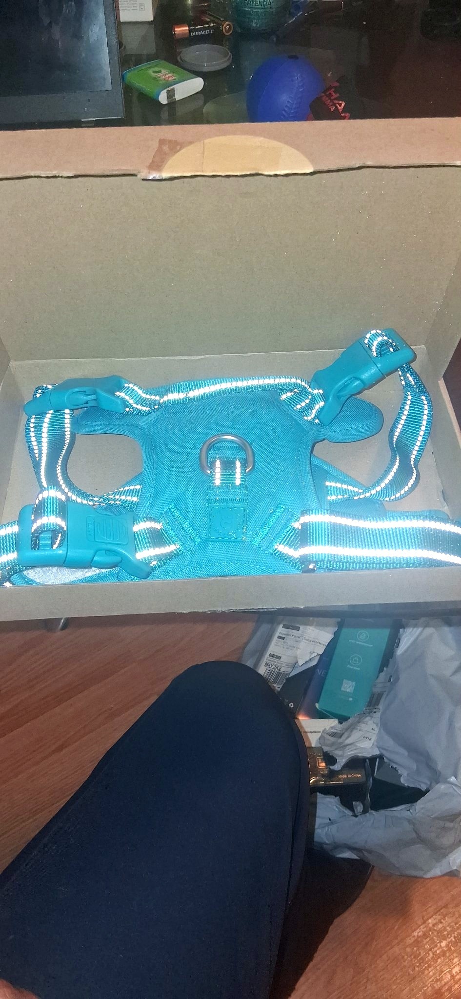 Reflective No-Pull Dog Harness Teal