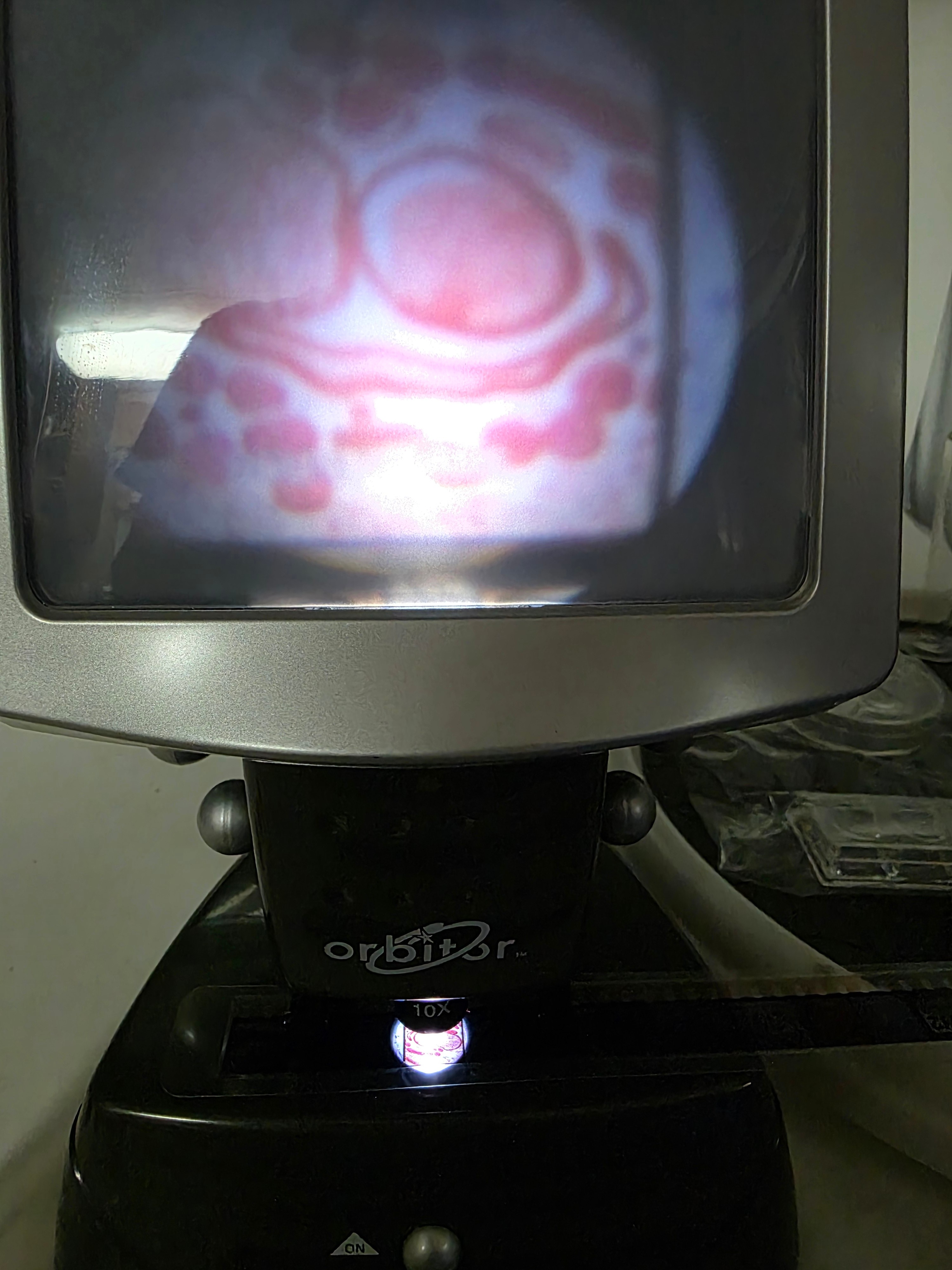 Kids Big Screen Slide Viewer Microscope System - photo 3