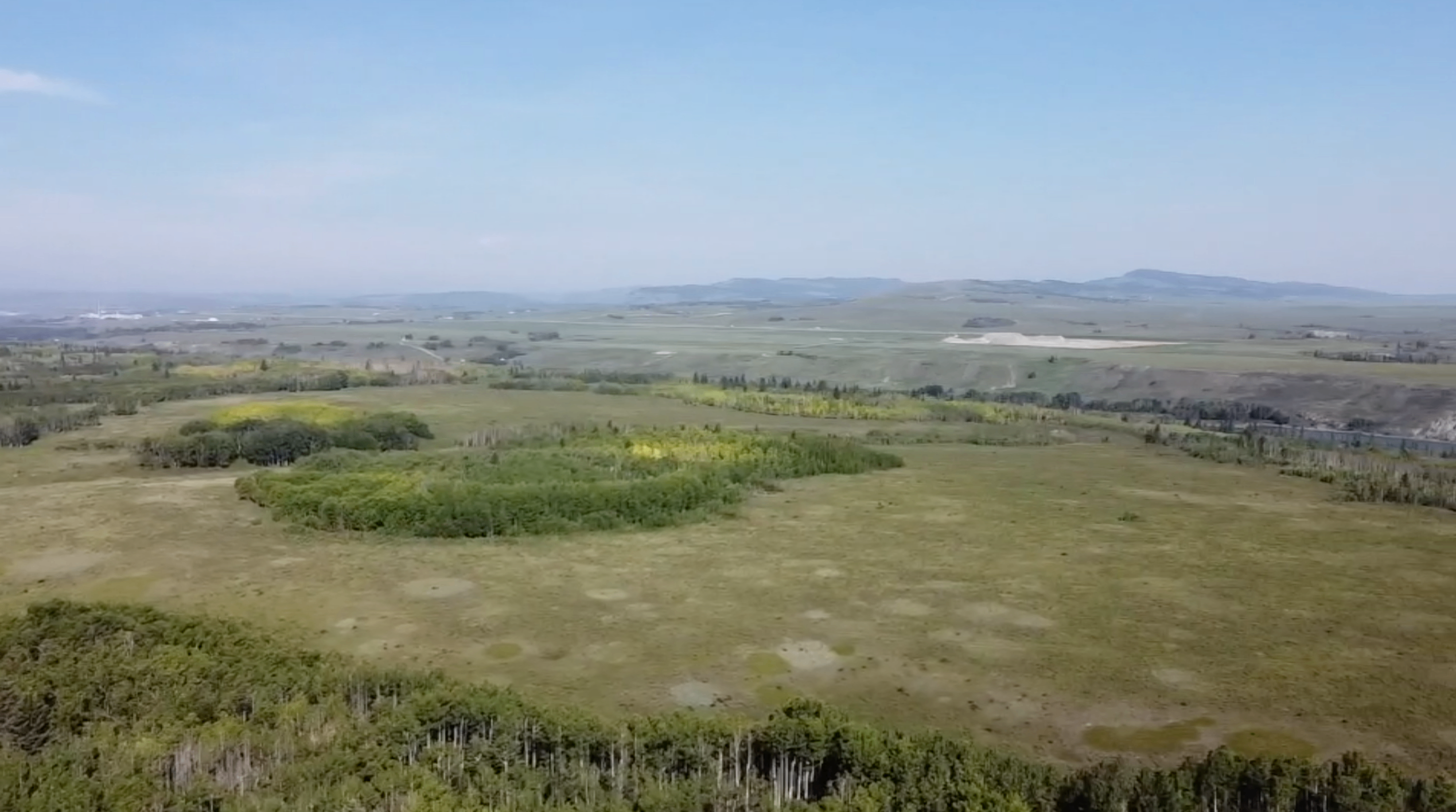 192.65 ACRES WEST OF COCHRANE | BOW RIVER FRONTAGE - photo 5