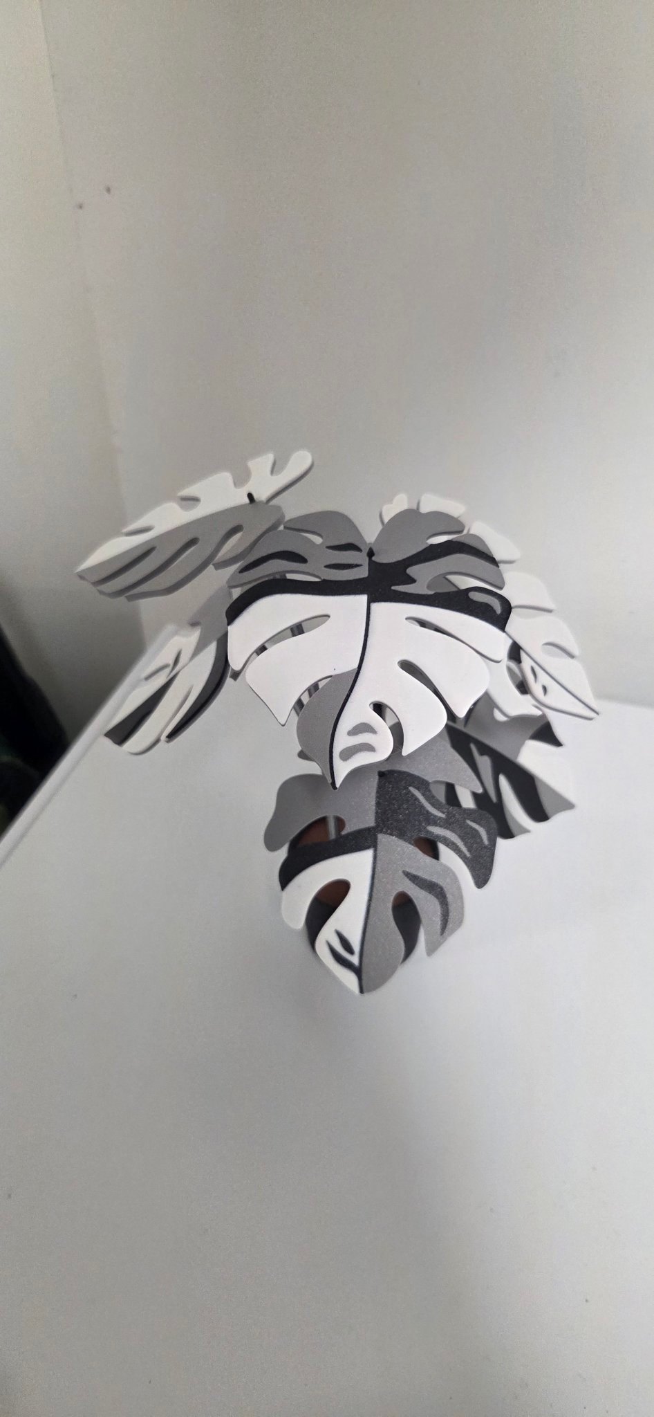 Monstera Coaster Set - 3D Printed Plant (6 Coasters)