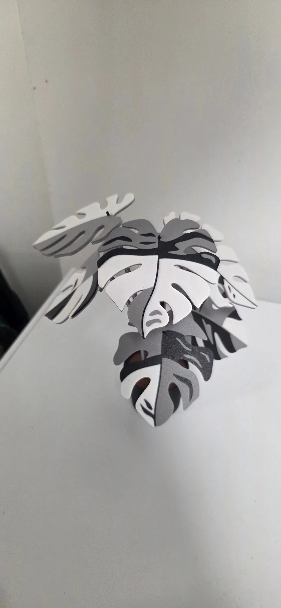 Monstera Coaster Set - 3D Printed Plant (6 Coasters)