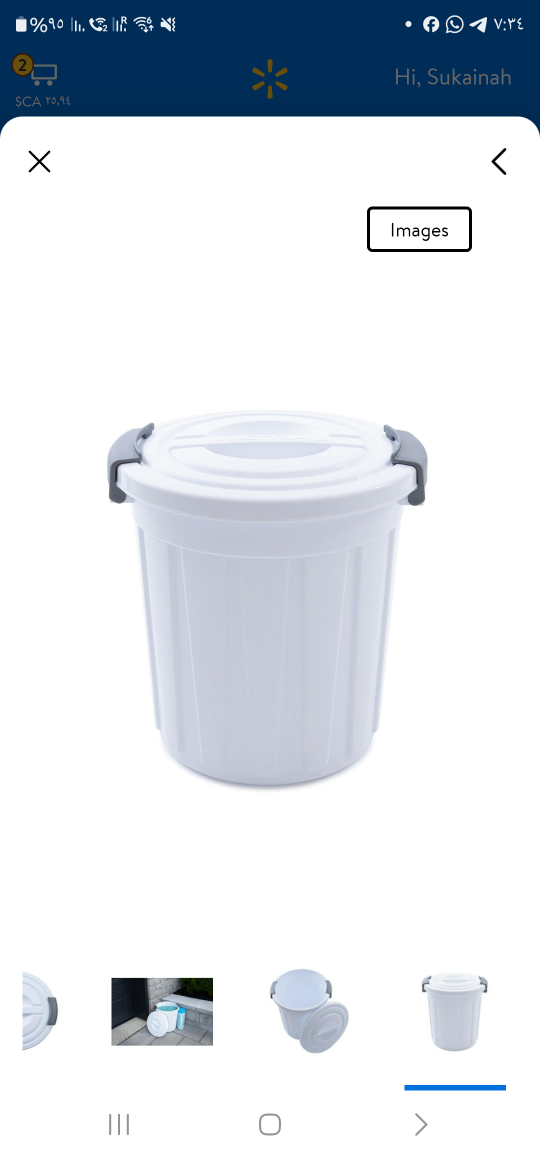 4 ikea Trash cans + Pin with lid. All 5 for 5$ - photo 4