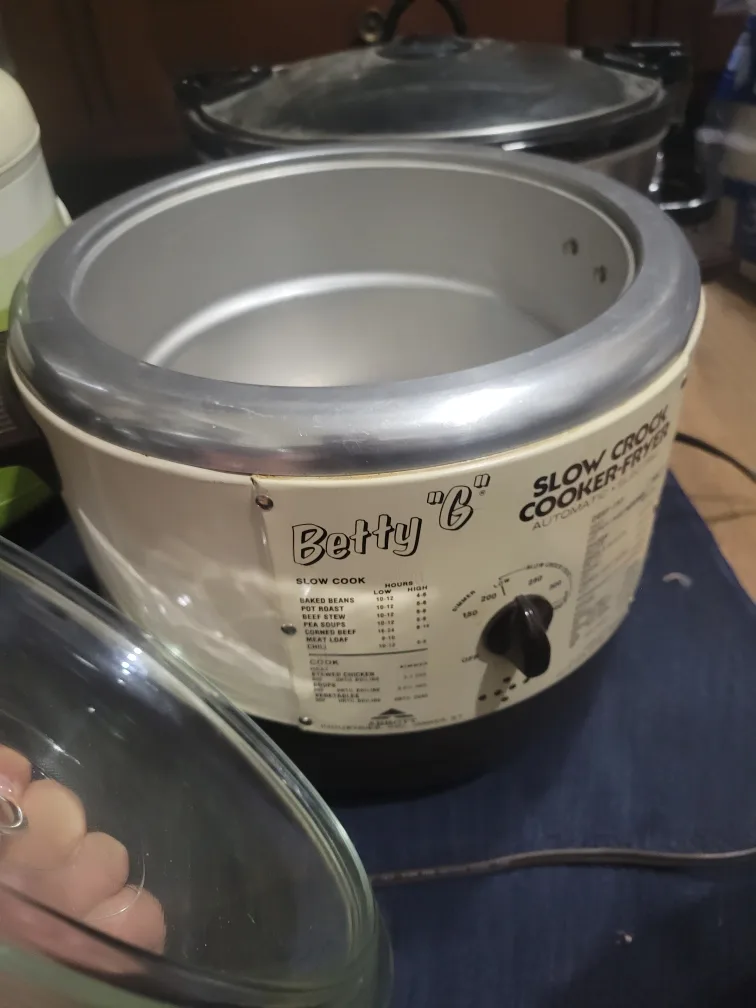 Betty Crocker Slow Cooker-Fryer