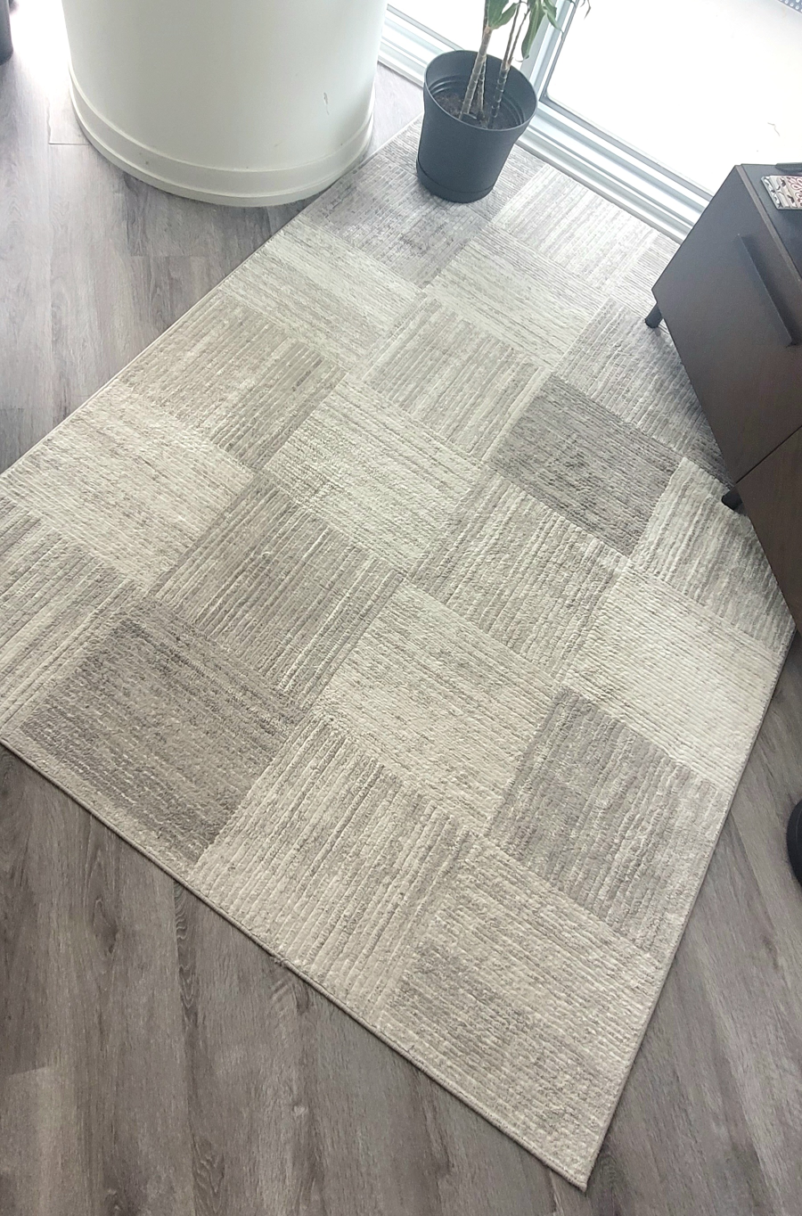 Neutral Toned Area Rug