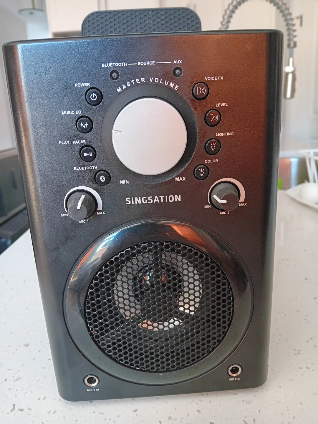 Singsation Bluetooth Speaker with Microphone Inputs