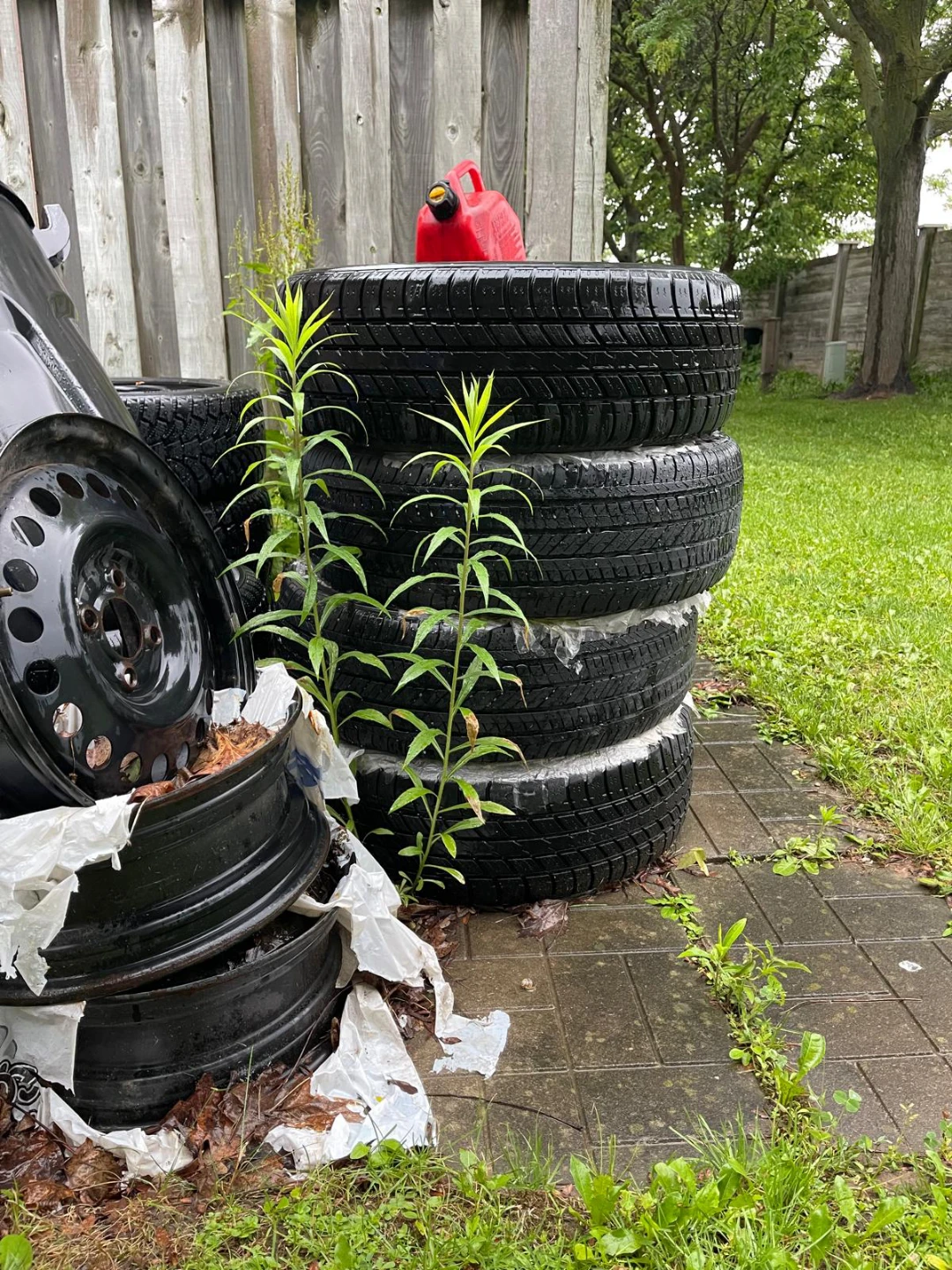 Used Tires - photo 2