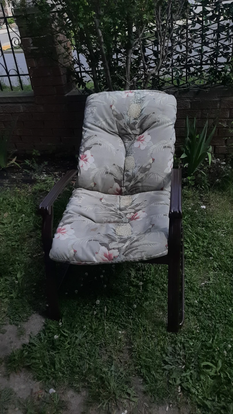 Brown Patio Chair with Cushions - photo 4