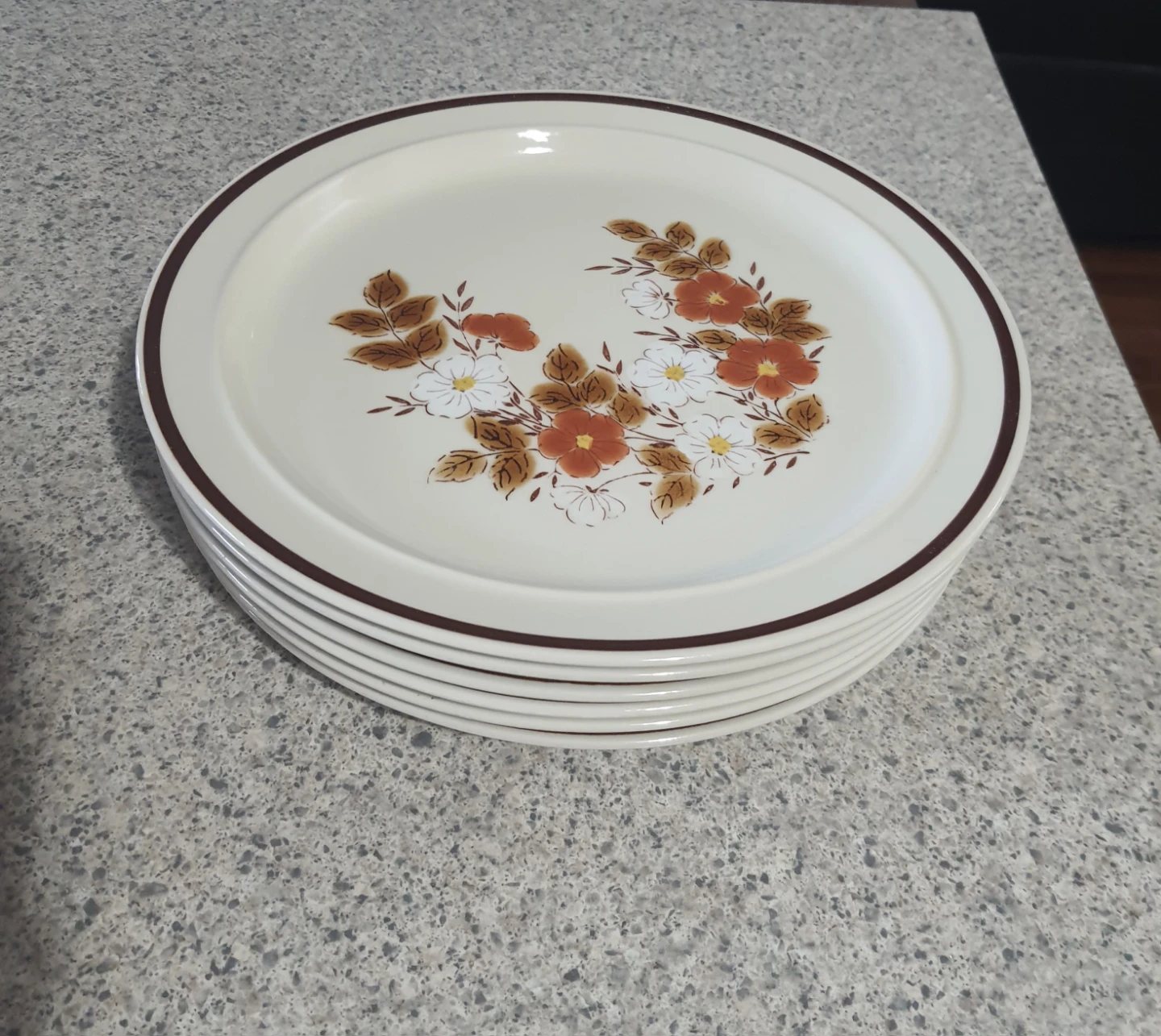 Dynasty Madeira Dinner Plates (Set of 6)