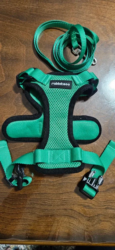 Rabbitgoo Green Cat Harness & Leash Set