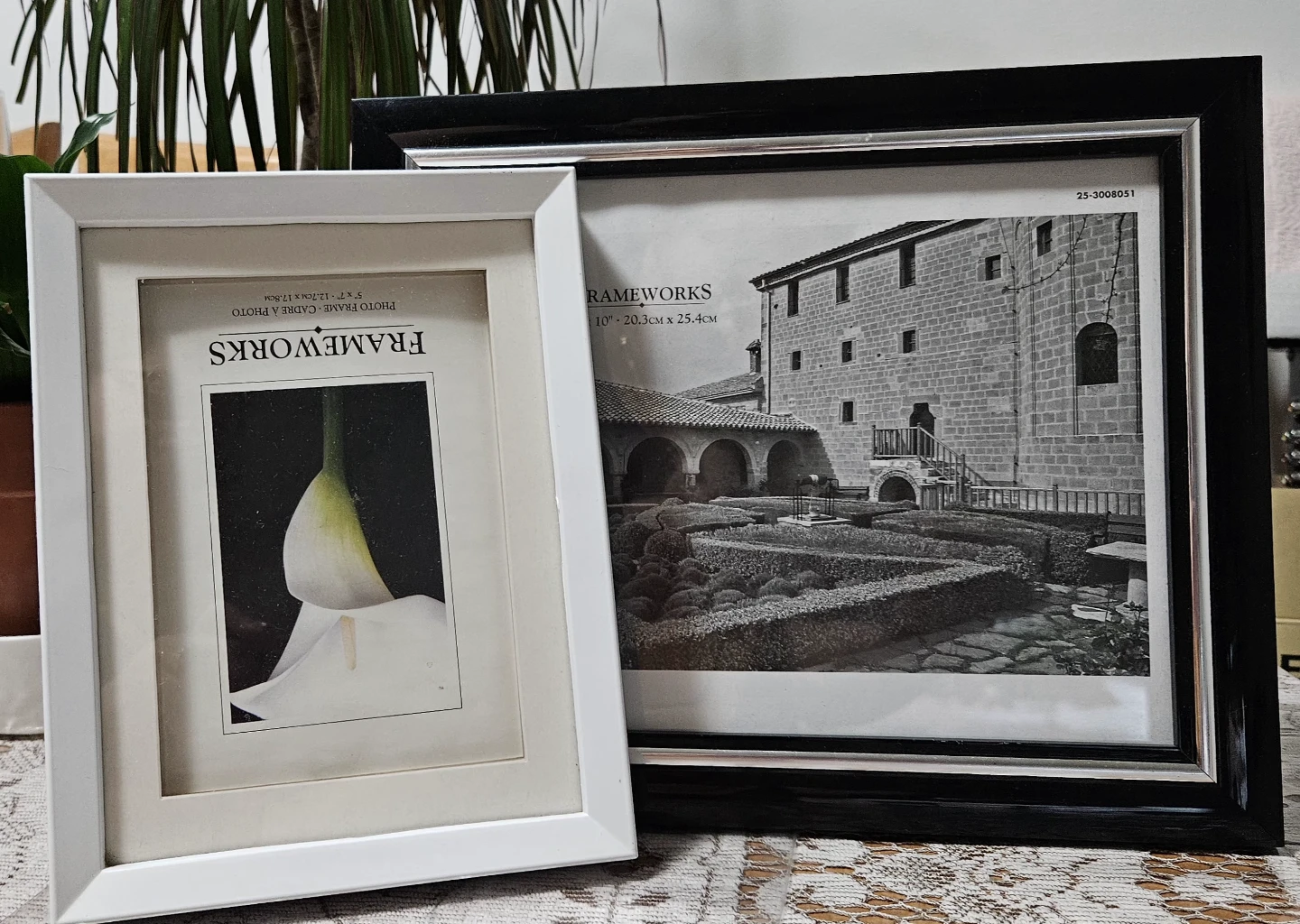 Frameworks Picture Frames