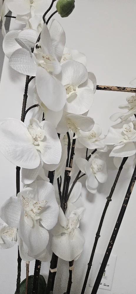 Faux White Orchid in Black Pot - photo 2