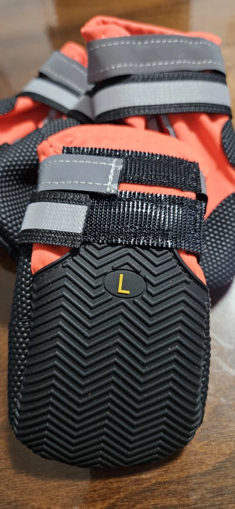 Dog Boots - Size L - photo 3