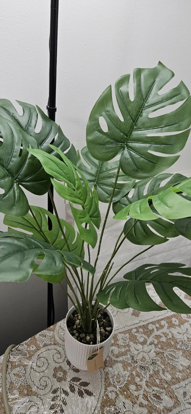 Faux Monstera Plant in White Pot - photo 2