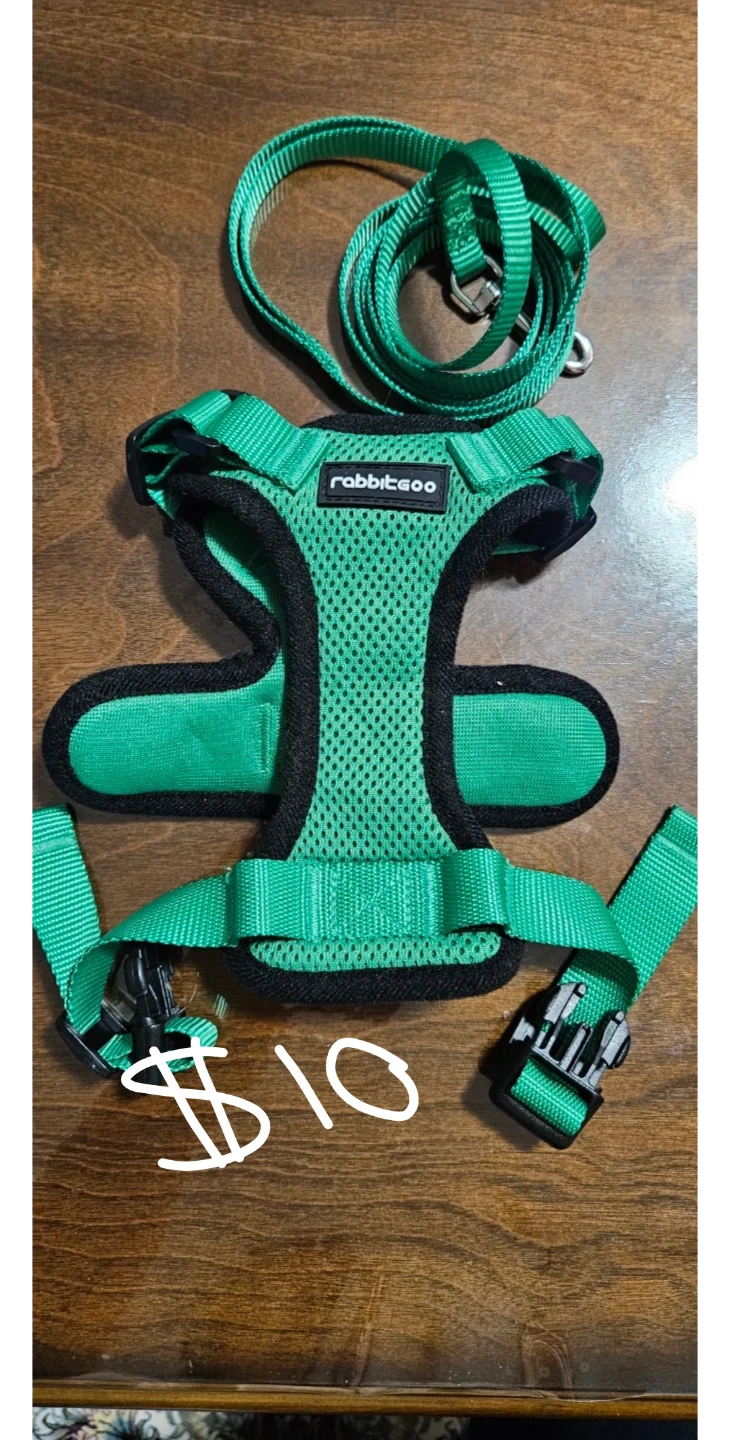 Rabbitgoo Dog Harness and Leash Set - photo 5
