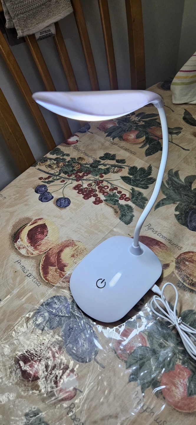 White LED Desk Lamp with Gooseneck