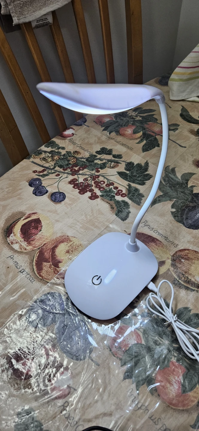 White LED Desk Lamp with Gooseneck - photo 2