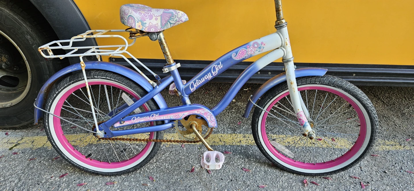 Girls' Getaway Girl Bicycle - photo 2