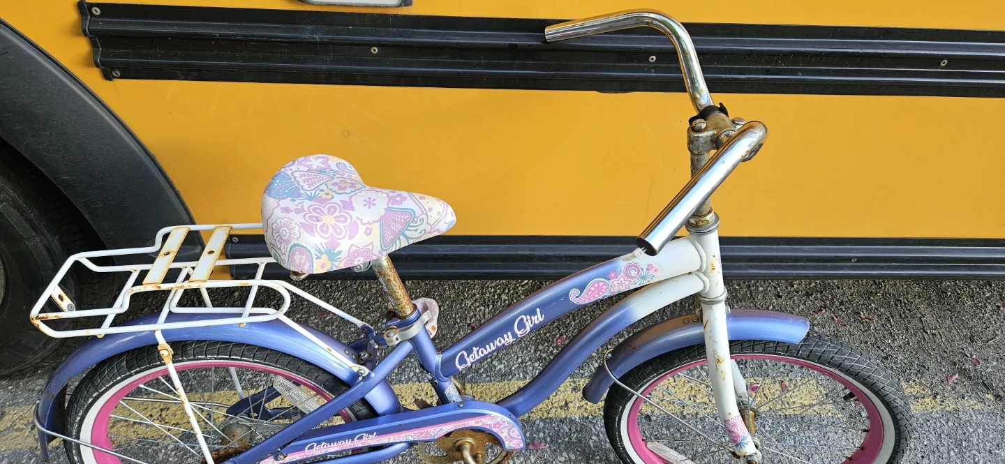 Girls' Getaway Girl Bicycle - photo 3