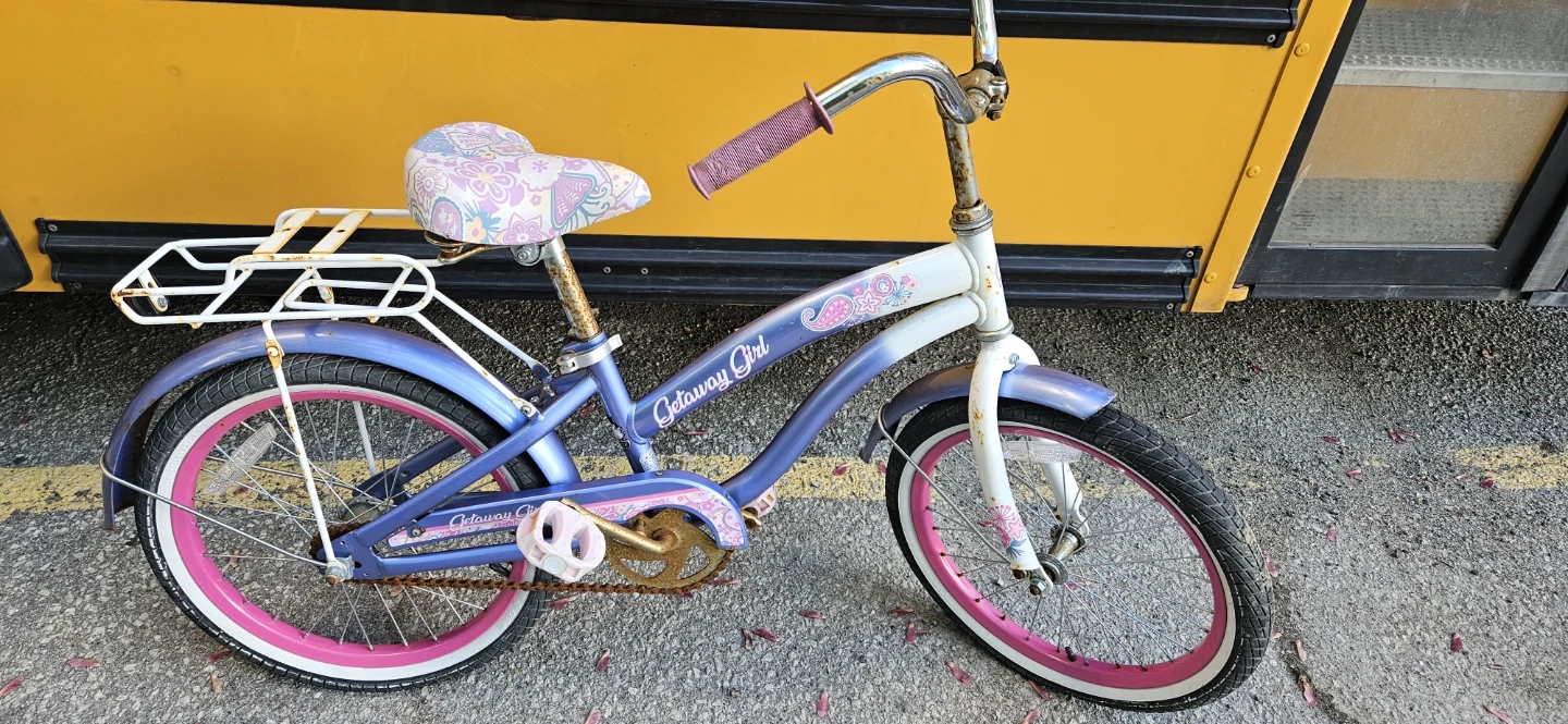 Girls' Getaway Girl Bicycle - photo 4