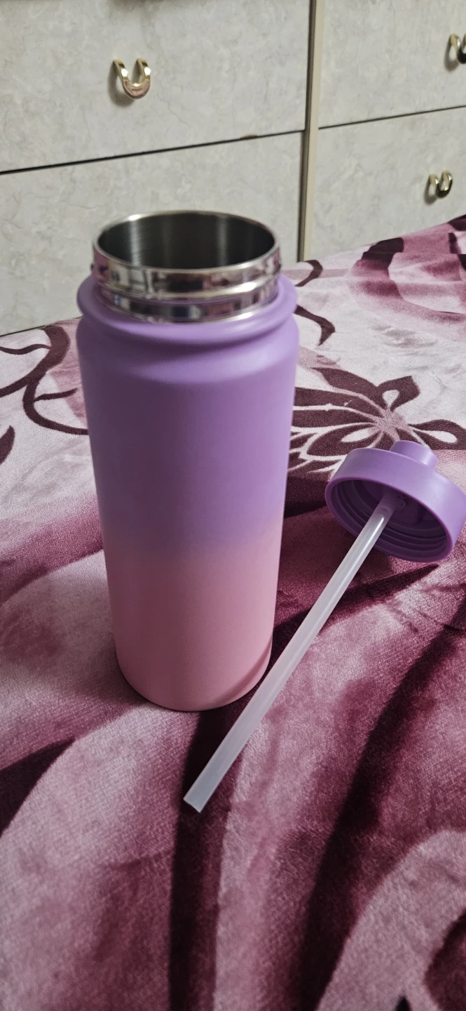 Purple and Pink Ombre Water Bottle with Straw Lid