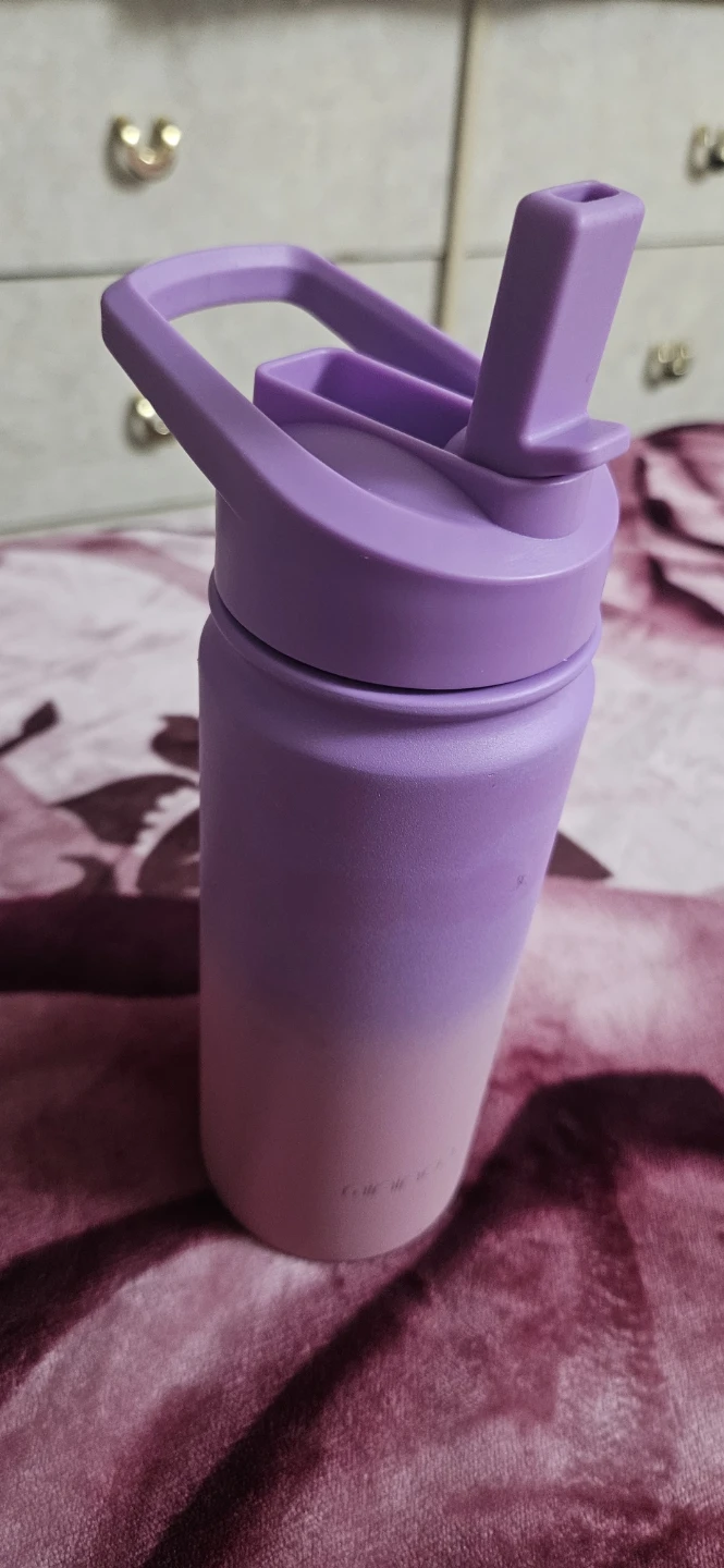 Purple and Pink Ombre Water Bottle with Straw Lid - photo 2