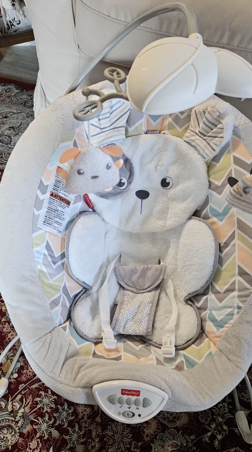 Fisher-Price Baby Bouncer Seat with Plush Dog