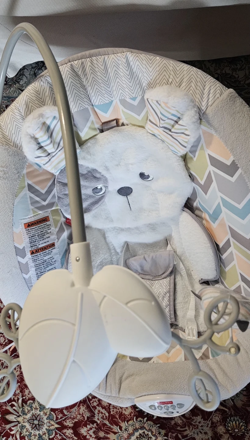 Fisher-Price Baby Bouncer Seat with Plush Dog - photo 3