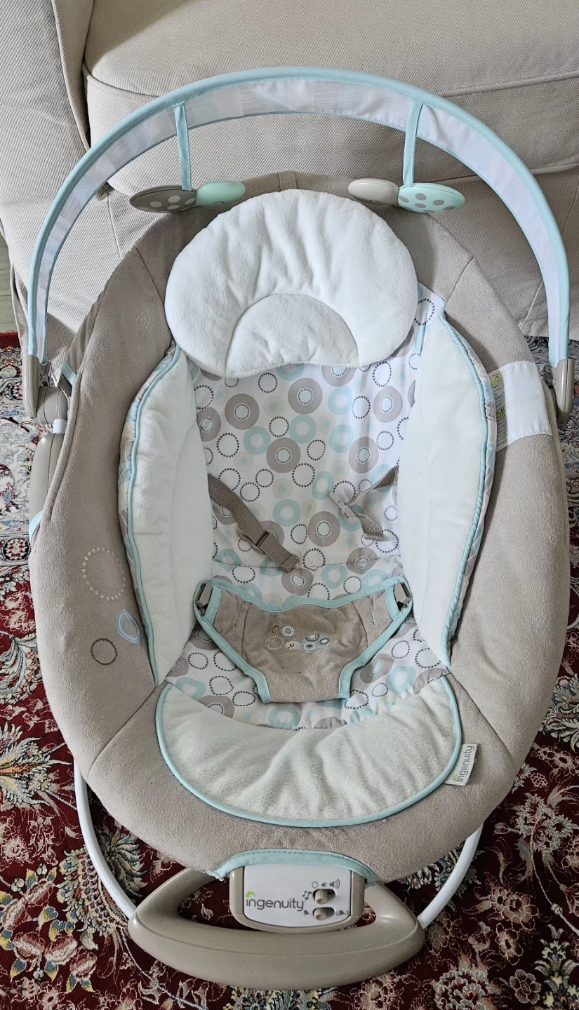 Ingenuity Baby Swing