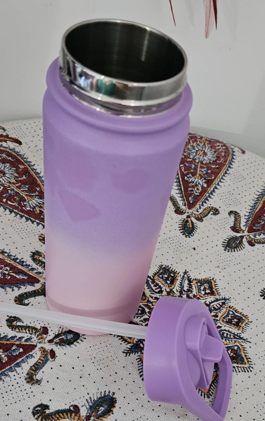 Purple Ombre Water Bottle with Straw