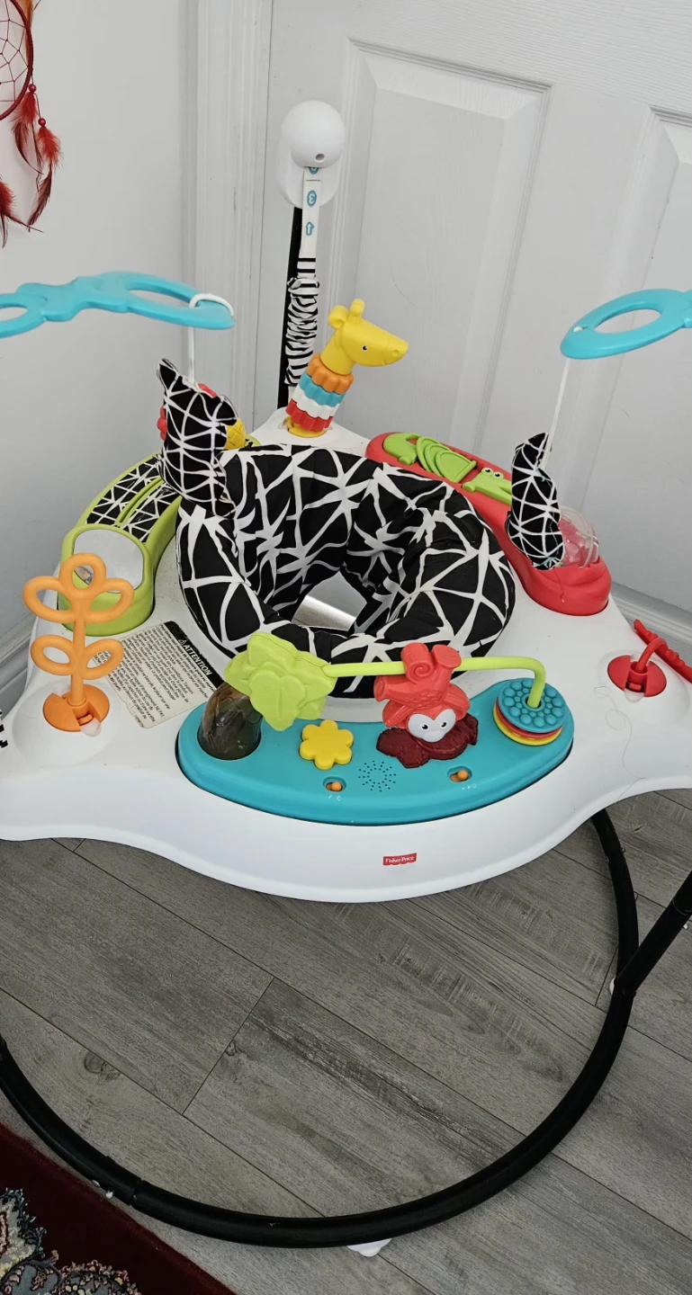 Fisher-Price Rainforest Jumperoo