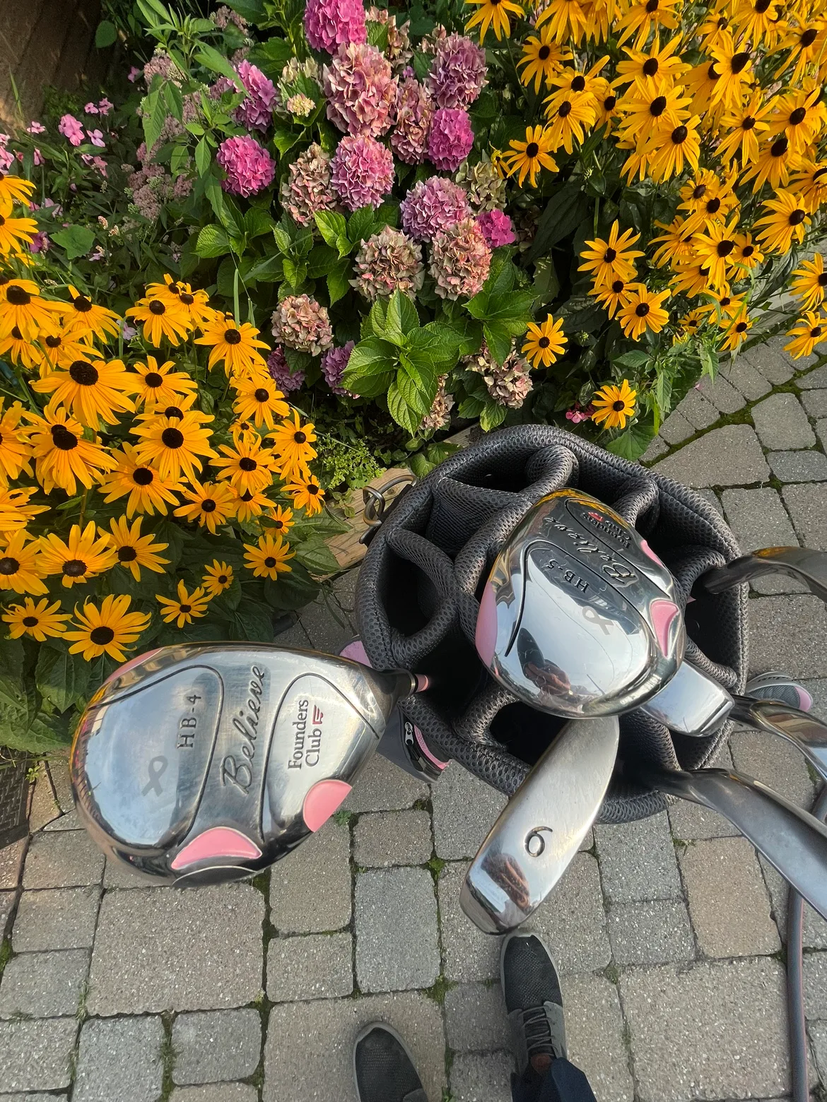 Belleair Ladies Golf Club Set image indicator(2)