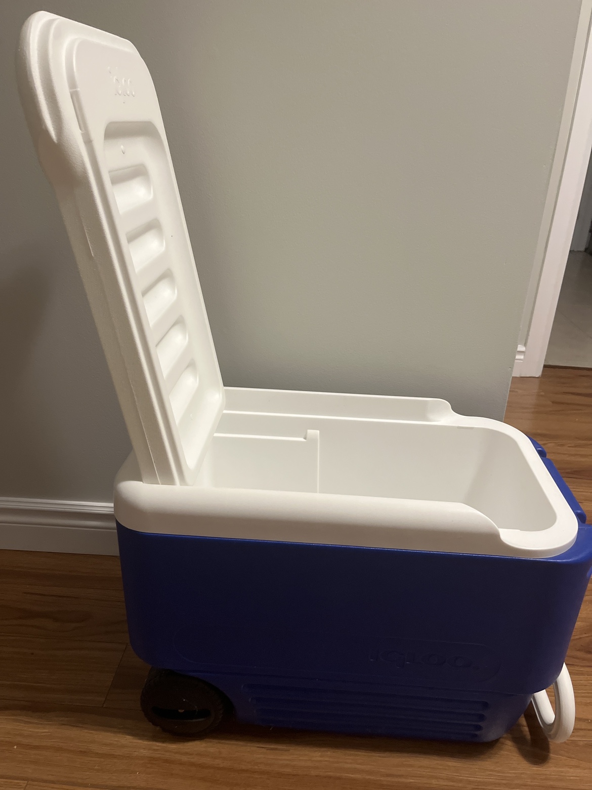 Igloo Cooler on Wheels-Reduced for moving sale