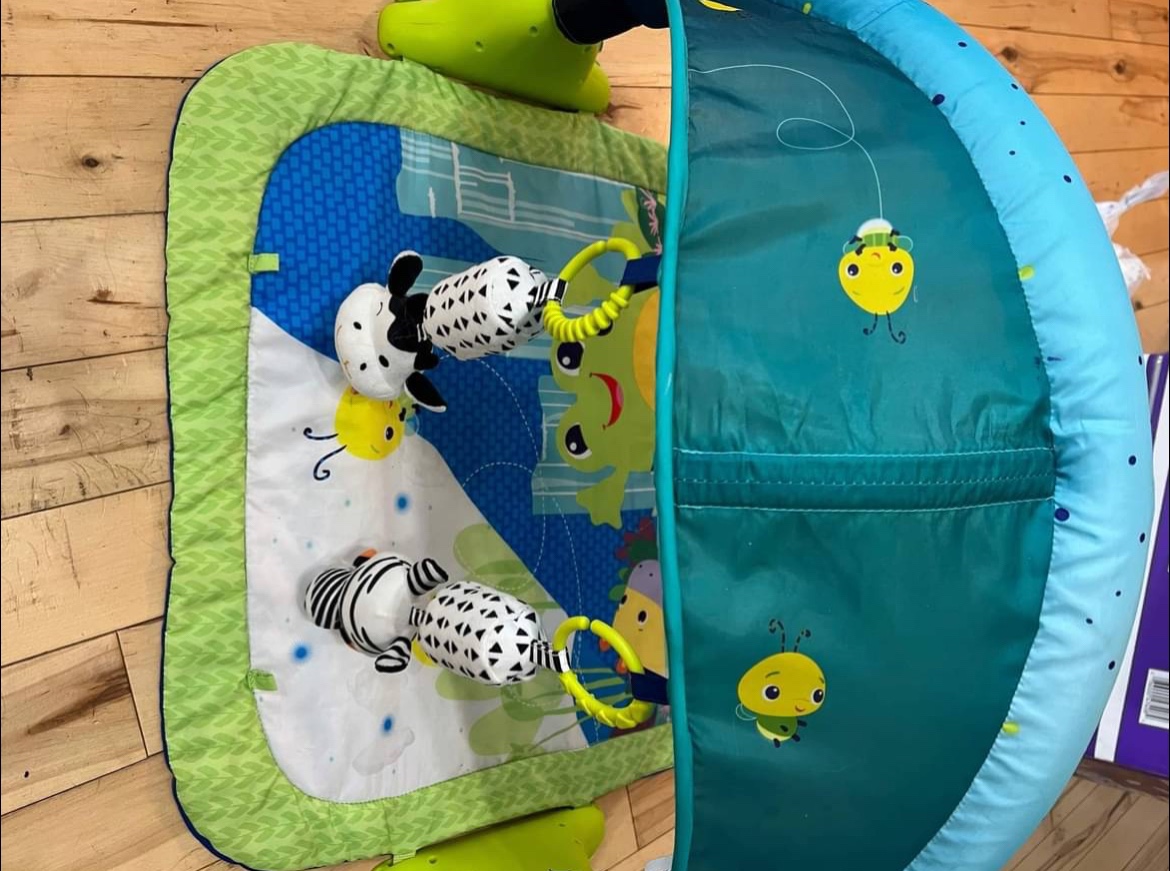 Baby Play Mat #freecycle - photo 2