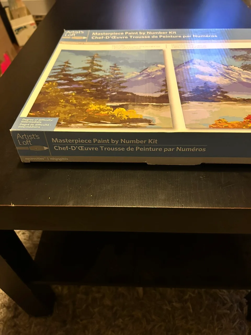 Artist's Loft Paint By Number Kit image indicator(3)