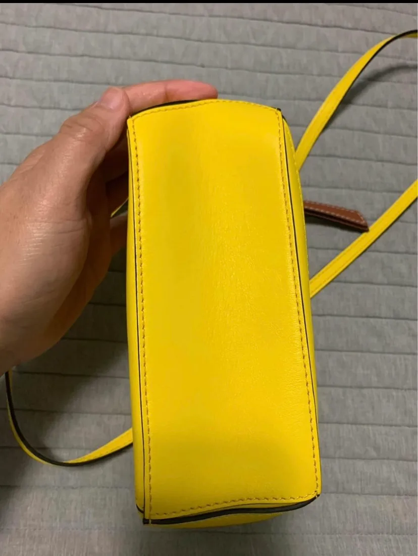 LOEWE X Totoro mini bag image indicator(4)