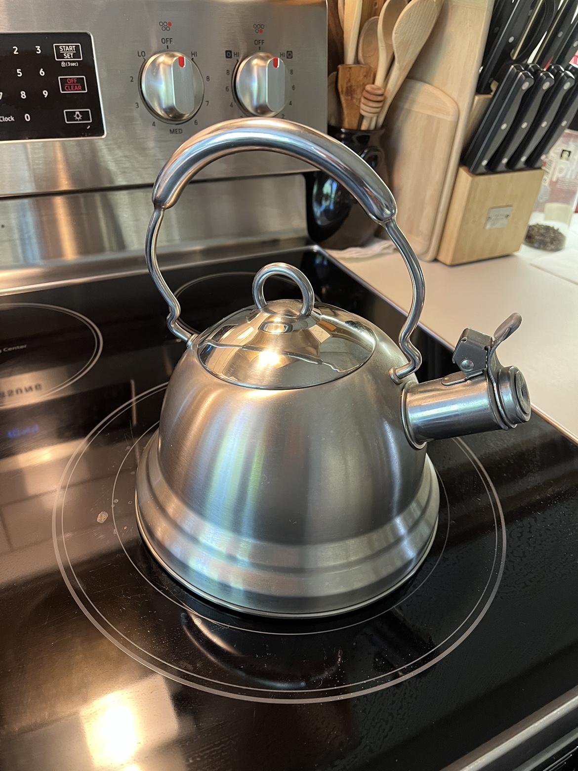 Lagostina Brand Stainless Steel Tea Kettle