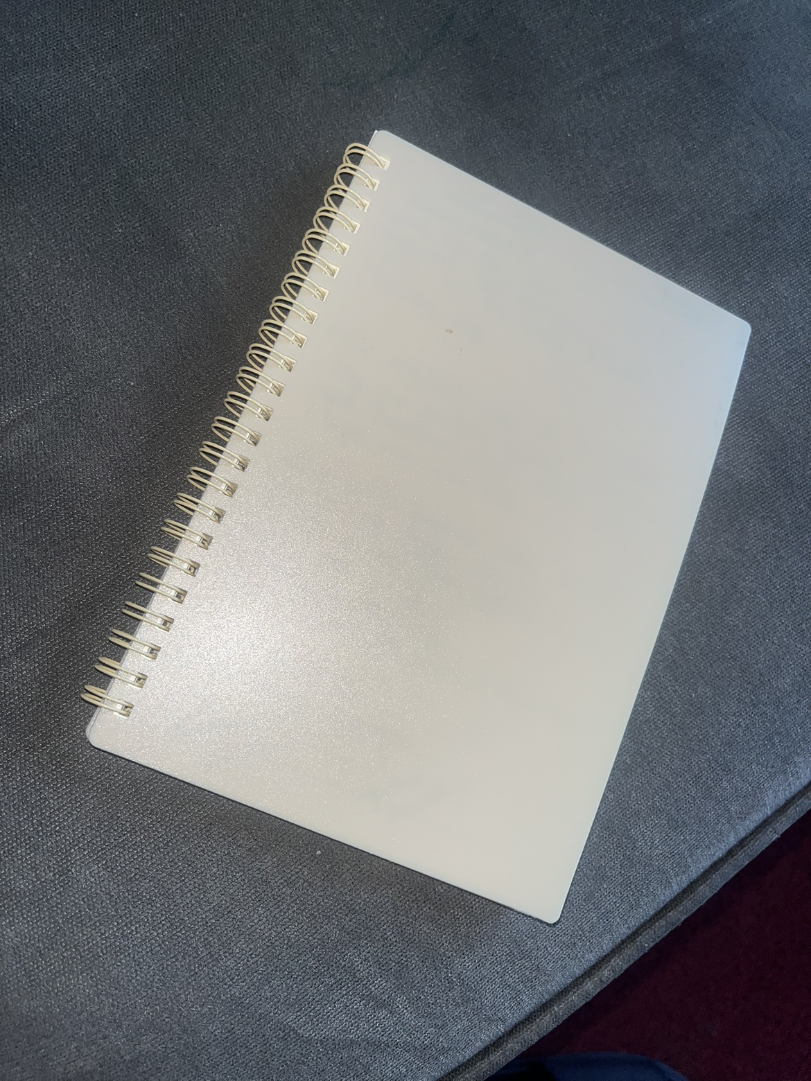 Spiral Bound small Notebook #freecycle