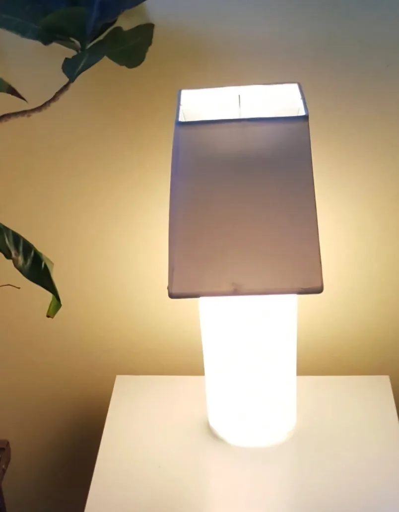 Single Opaque lamp image indicator(3)