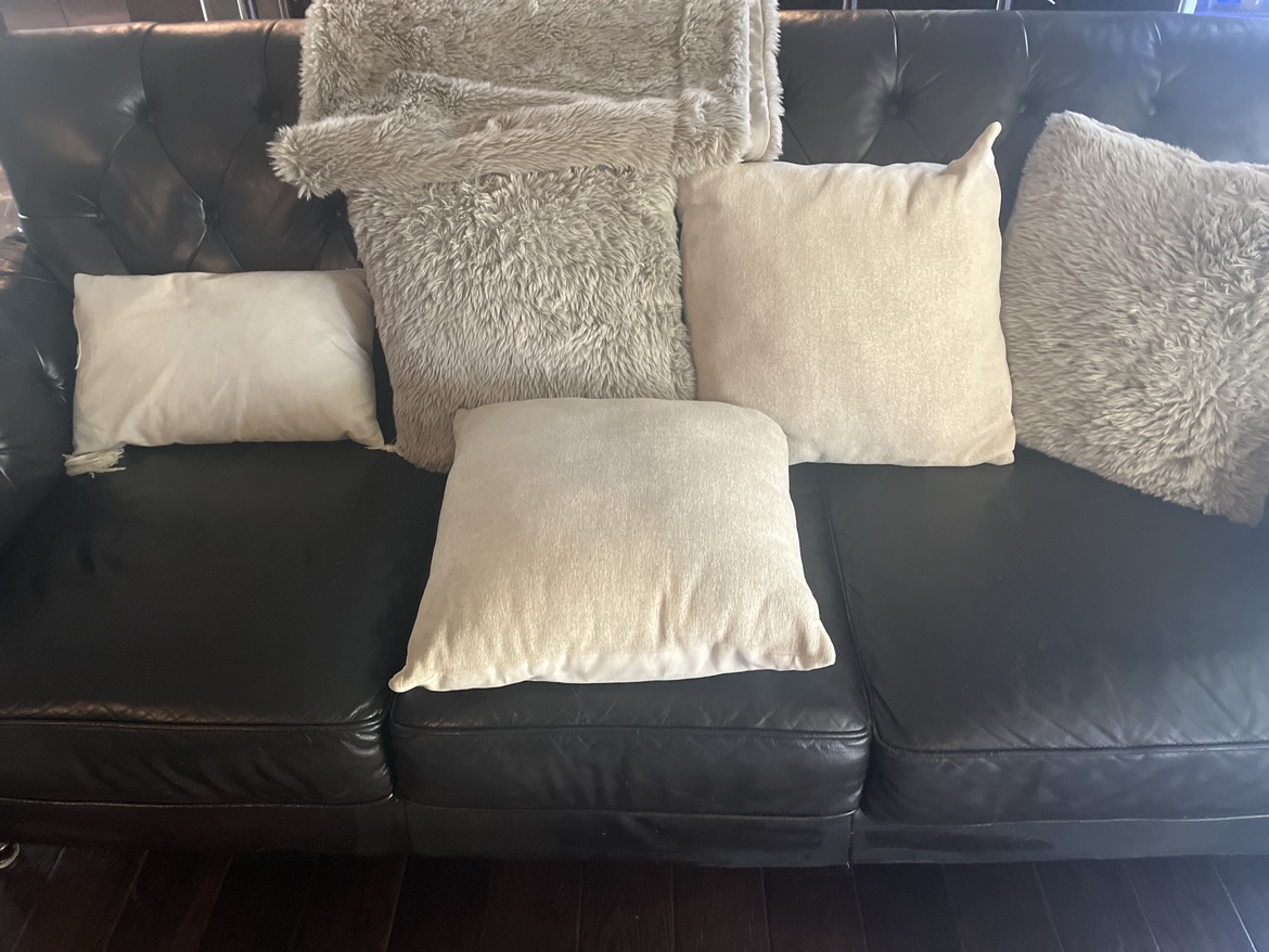 Set of 5 Throw Pillows