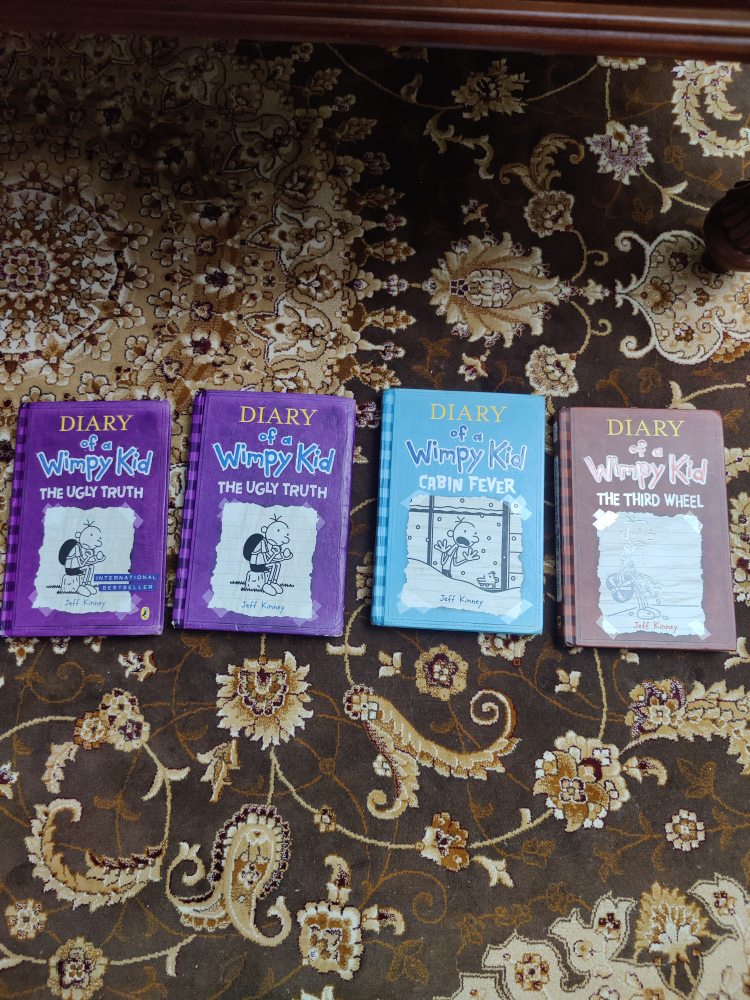 Diary of a Wimpy Kid Books (4 Books)
