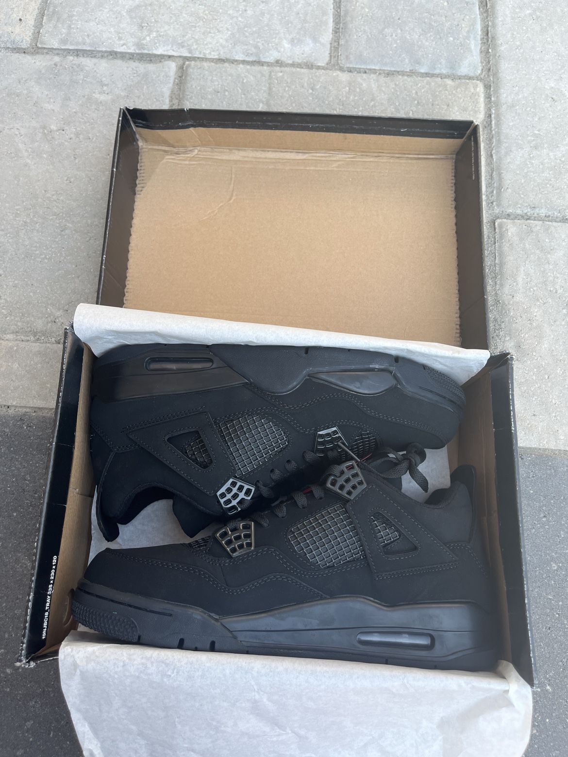 Air Jordan 4 Retro "Black Cat"