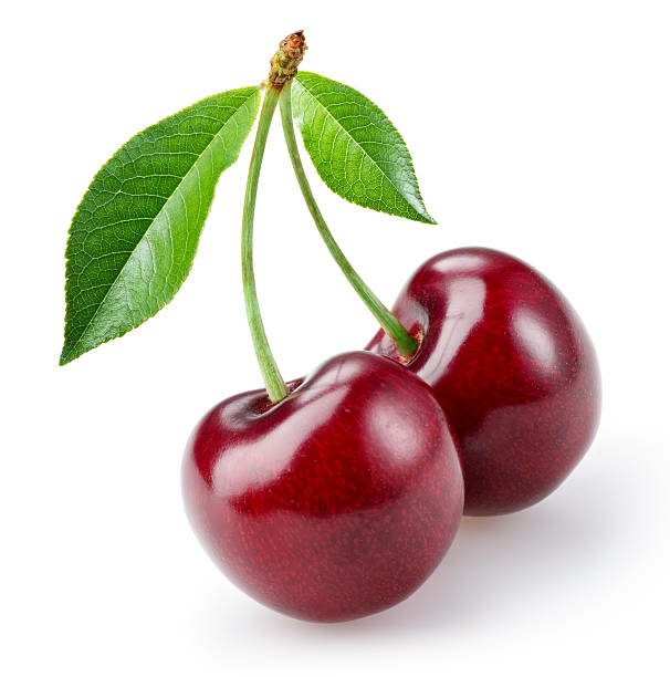 cherry tree seedlings,Naturally grow，no chemicals, no spray - photo 2
