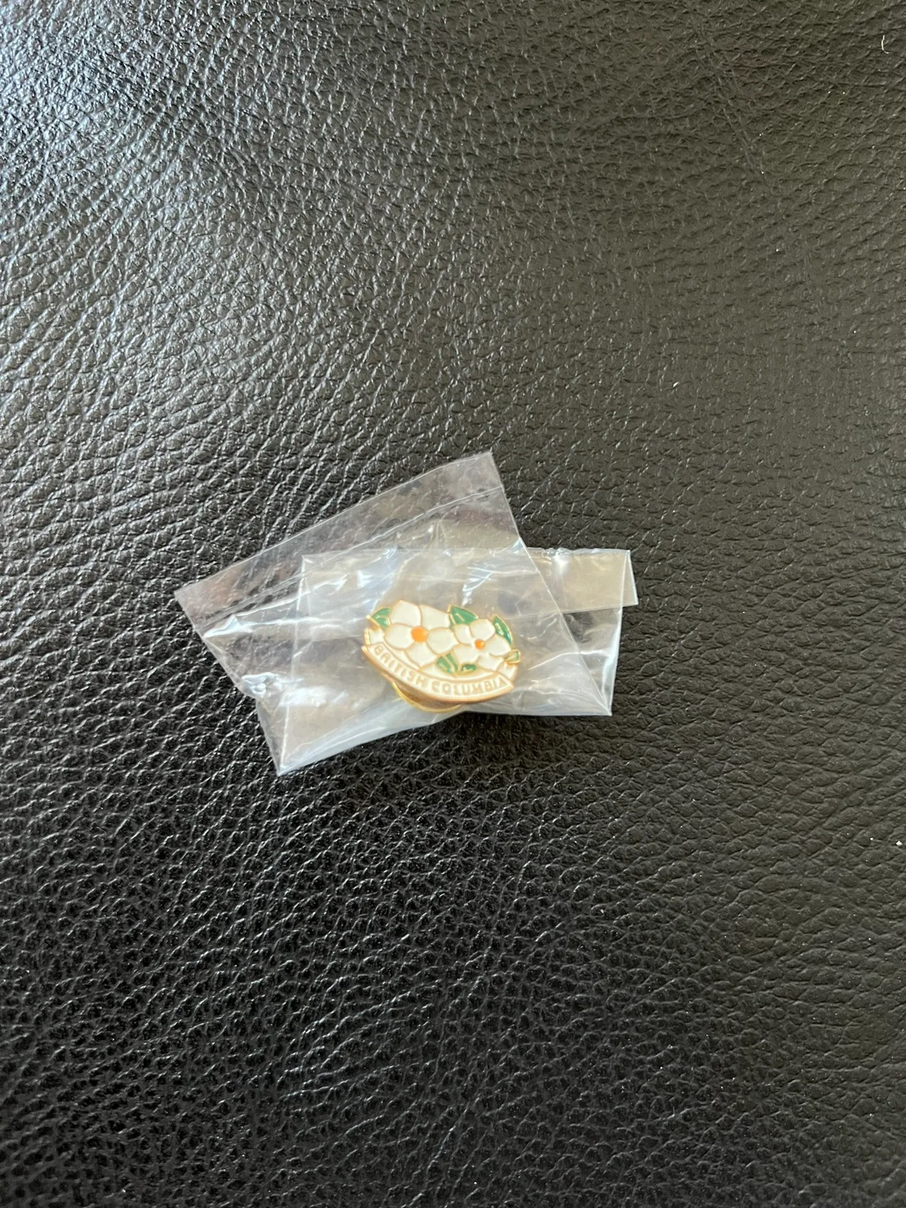 Team Canada & BC Pins image indicator(6)