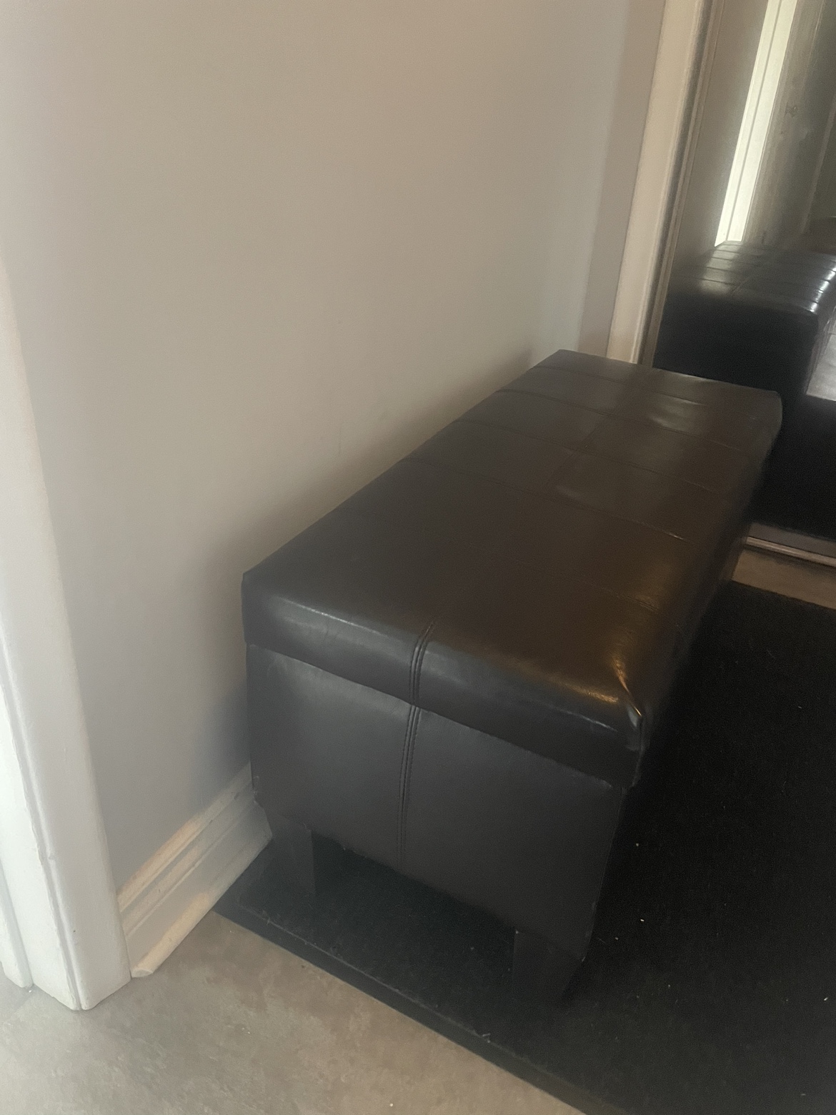 Storage Ottoman/ bench with padded leather seat