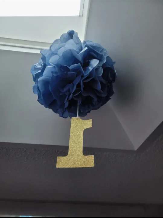 Birthday/Event Decoration #Freecycle image indicator(2)