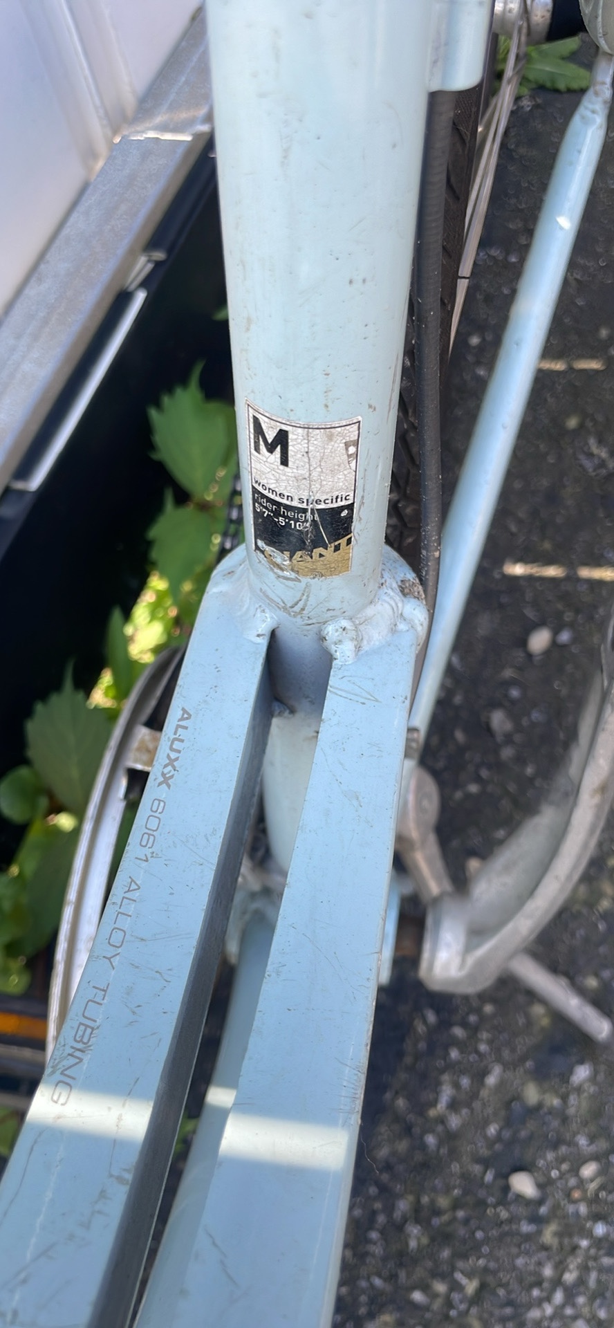 Women's Medium Frame Bicycle - photo 3