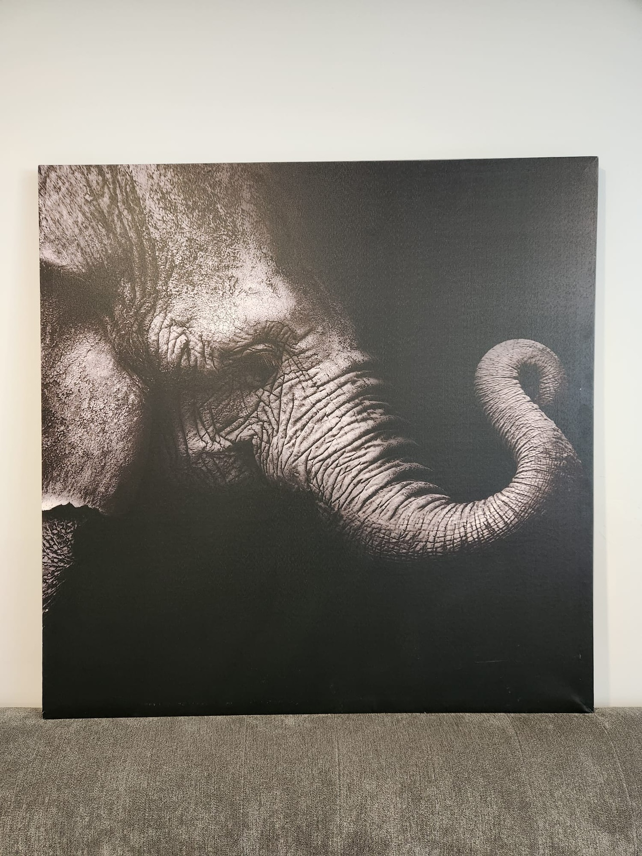 Elephant Canvas Wall Art